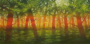 The  old apple orchard